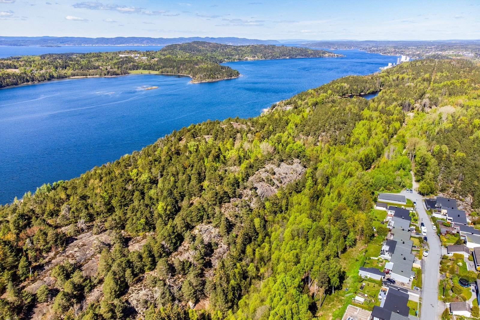 Ut i Mosseskogens omfangsrike turområder kan du gå både rett fra egen hage og på turvei fra enden av Gamleveien. Galleribilde