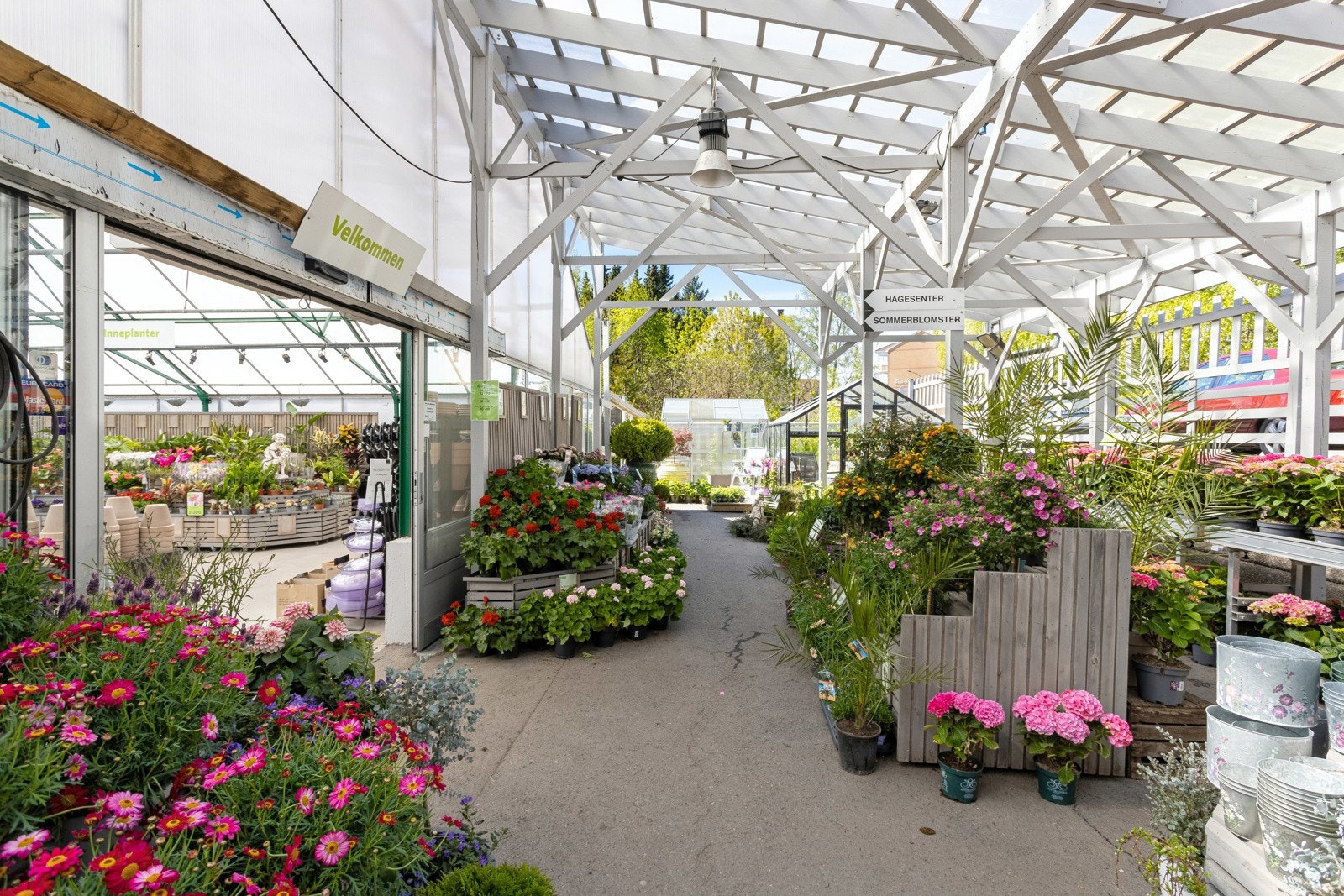 Nordtvet gartneri ligger bare en kort spasertur unna, her kan du fråtse i blomster og planter. Galleribilde