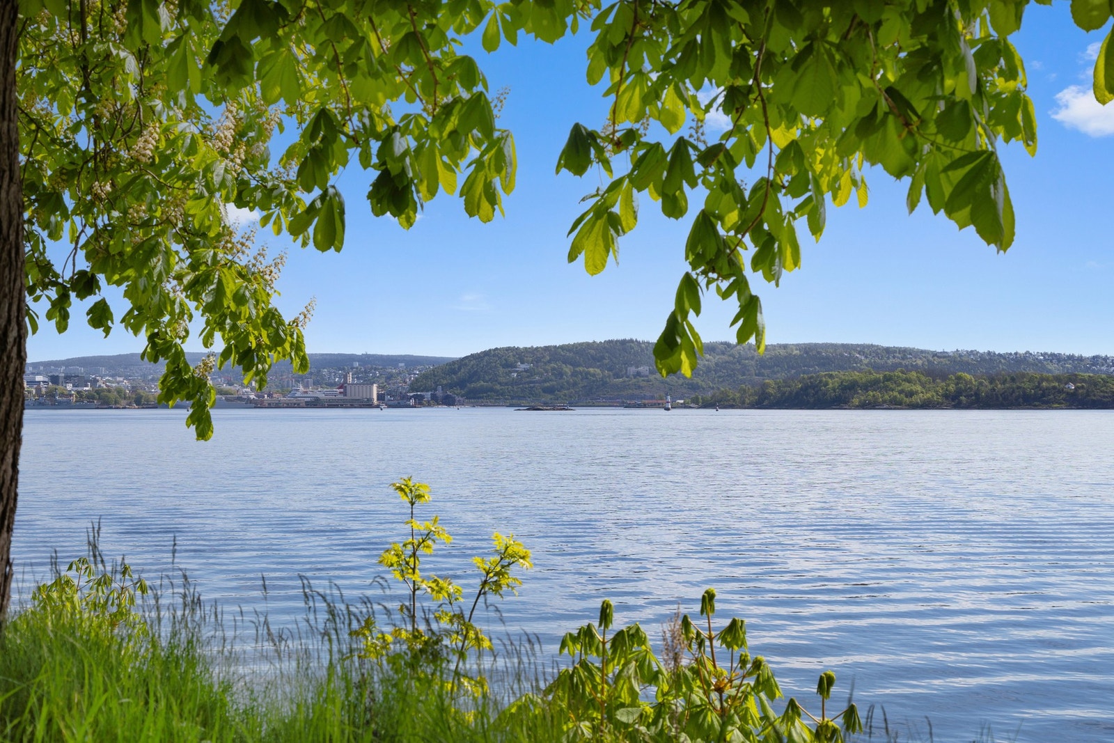 Nyt rolige stunder med utsikt mot byen og fjorden. Galleribilde