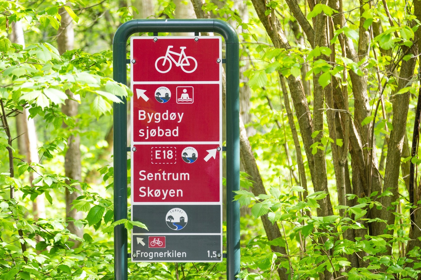 Et nettverk av stier leder deg gjennom vakker natur og til populære attraksjoner. Galleribilde