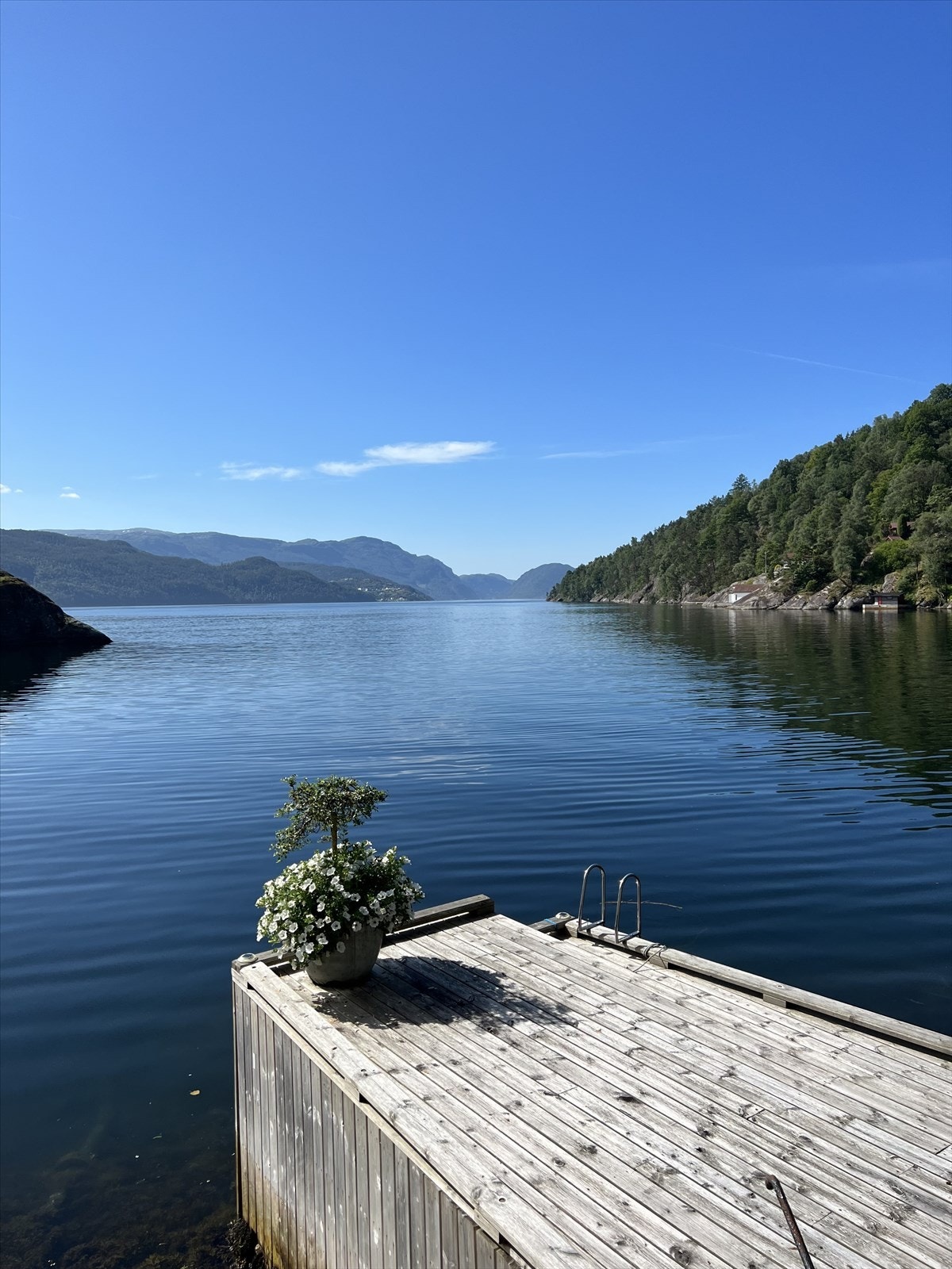 Ved brygga Galleribilde