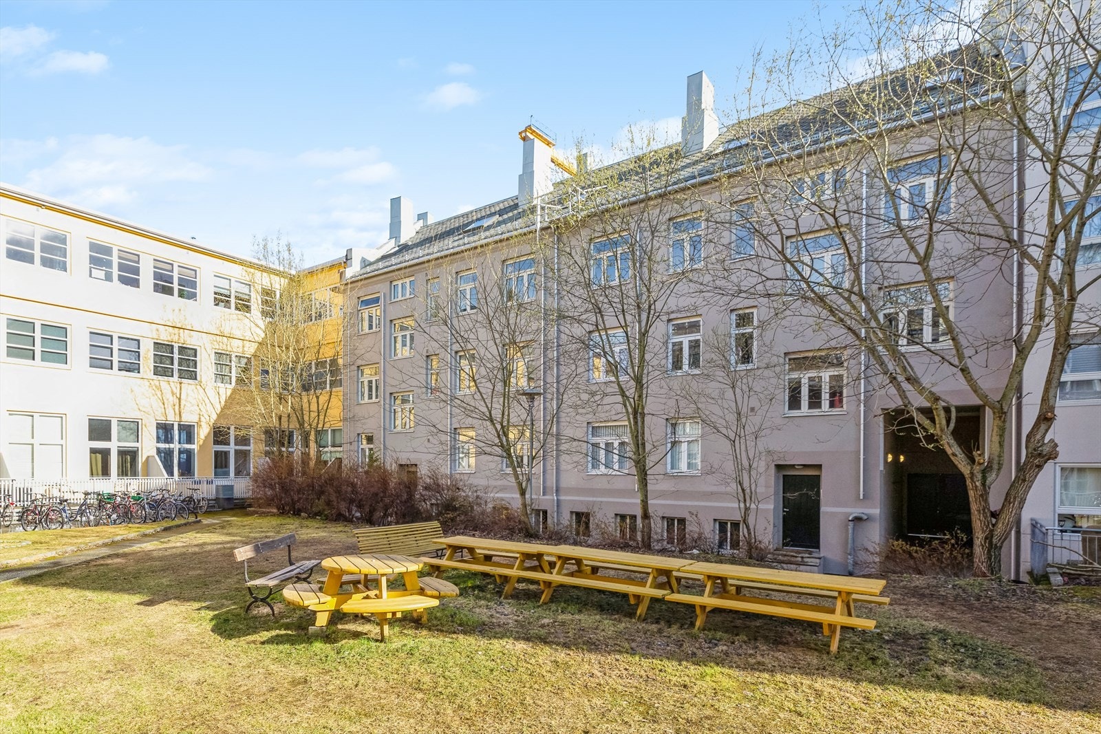 Felles frodig bakgård som kan brukes fritt av beboerne. Galleribilde