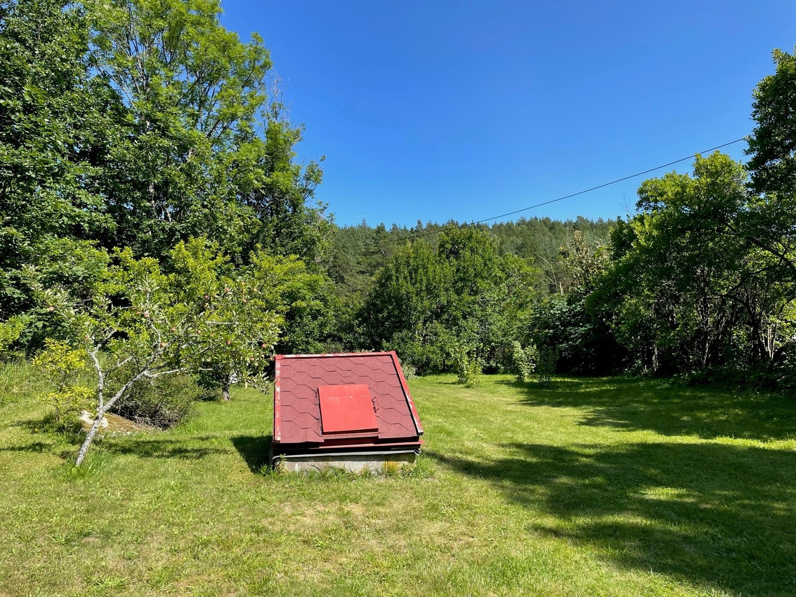 Tomten har flere frukttrær, som er med å gi både den landlige følelsen, men da likevel rett ved vann og tilgang til sjø. Galleribilde