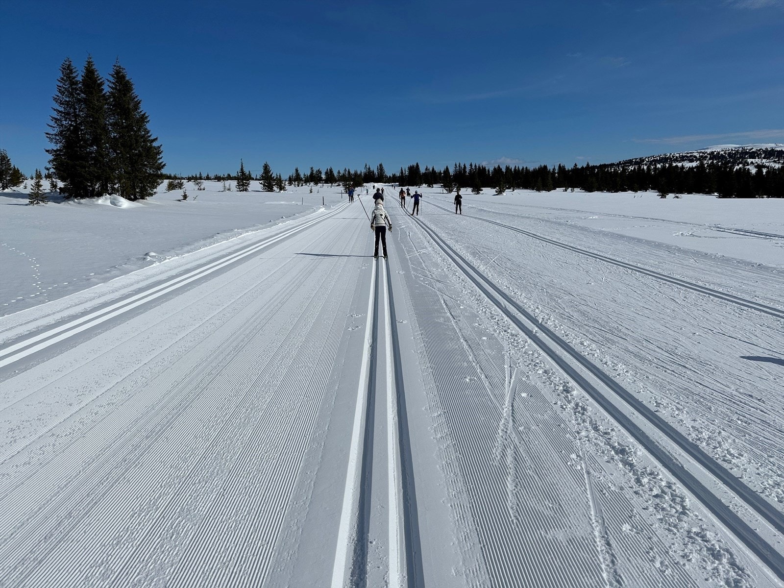 På Sjusjøen, ca. 10 minutters bilkjøring unna, er det fantastiske skiløyper. Galleribilde