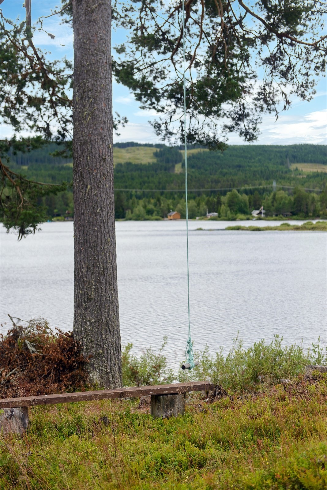 Nord-Mesna-vannet er anerkjent som et attraktivt sportsfiskevann. Galleribilde