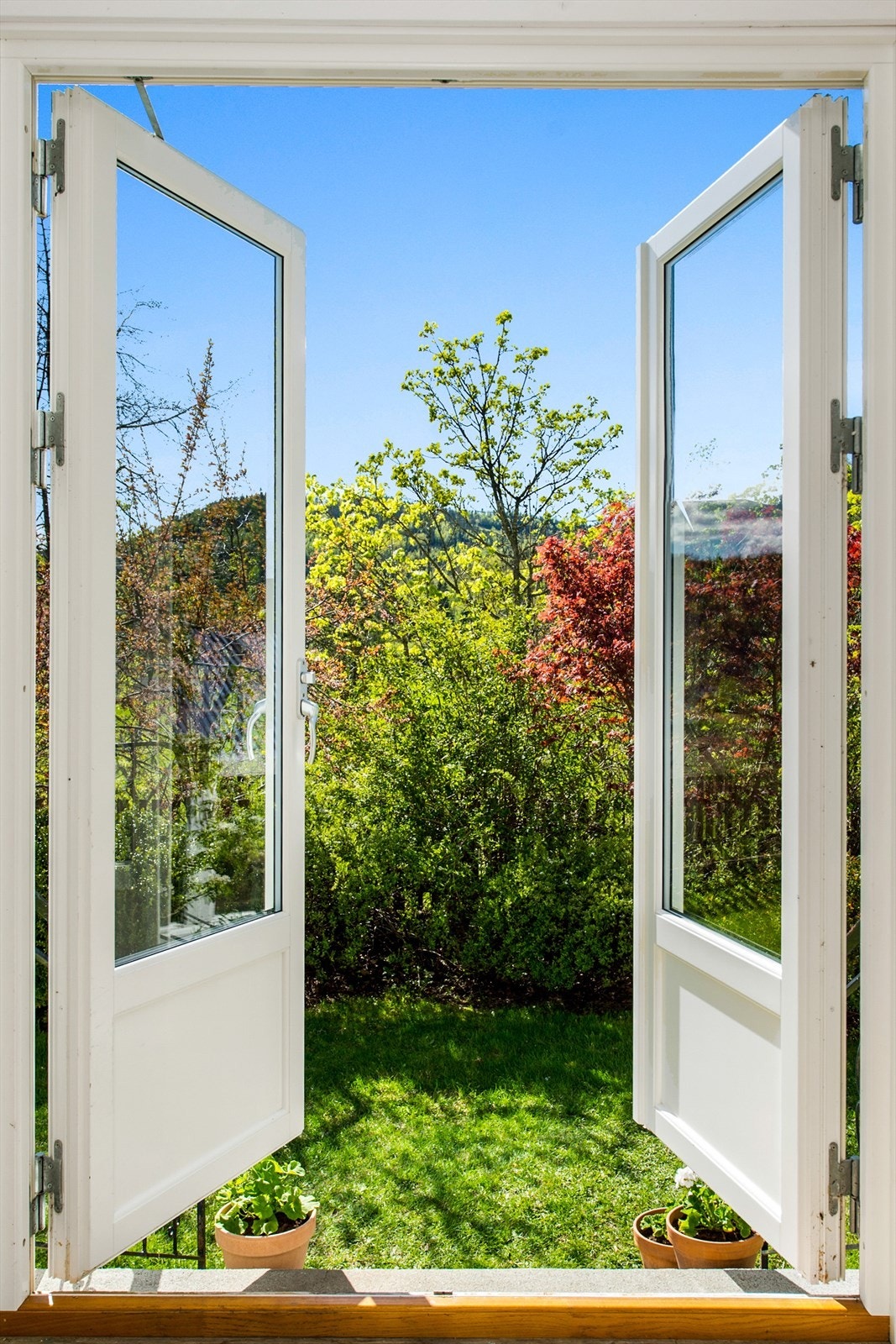 Med trapp til hagen Galleribilde