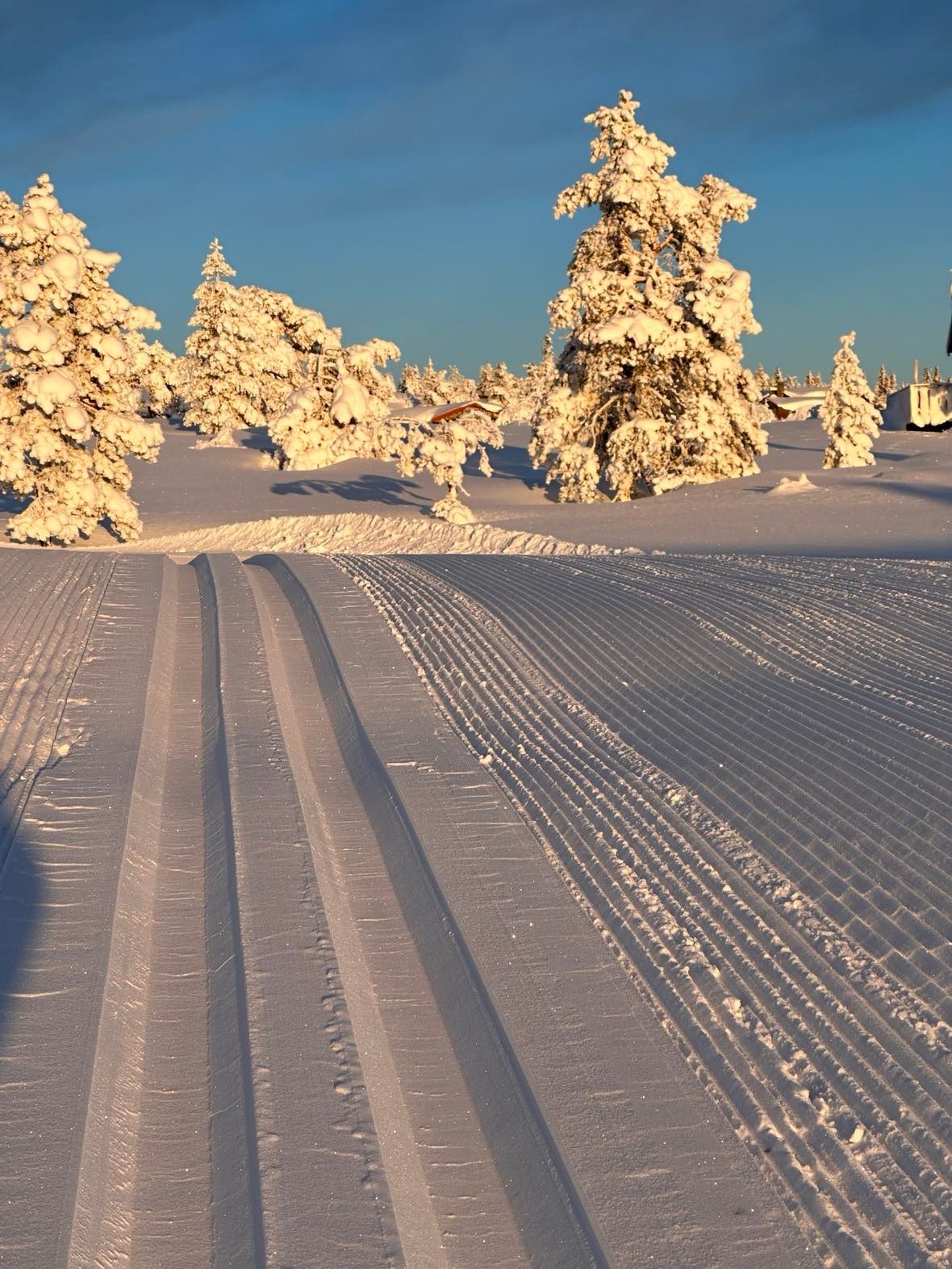 Kort veg til med enn 180 km med skiløyper i verdensklasse Galleribilde