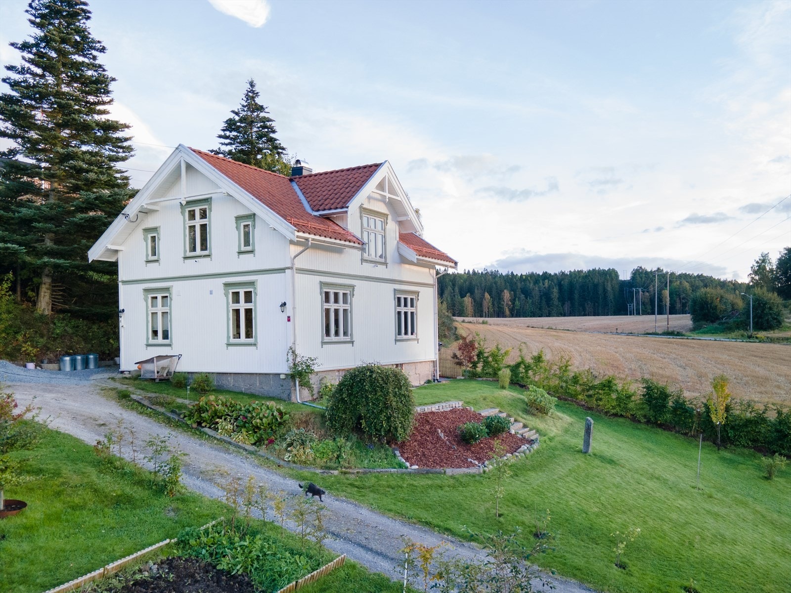Selgers private bilde Galleribilde