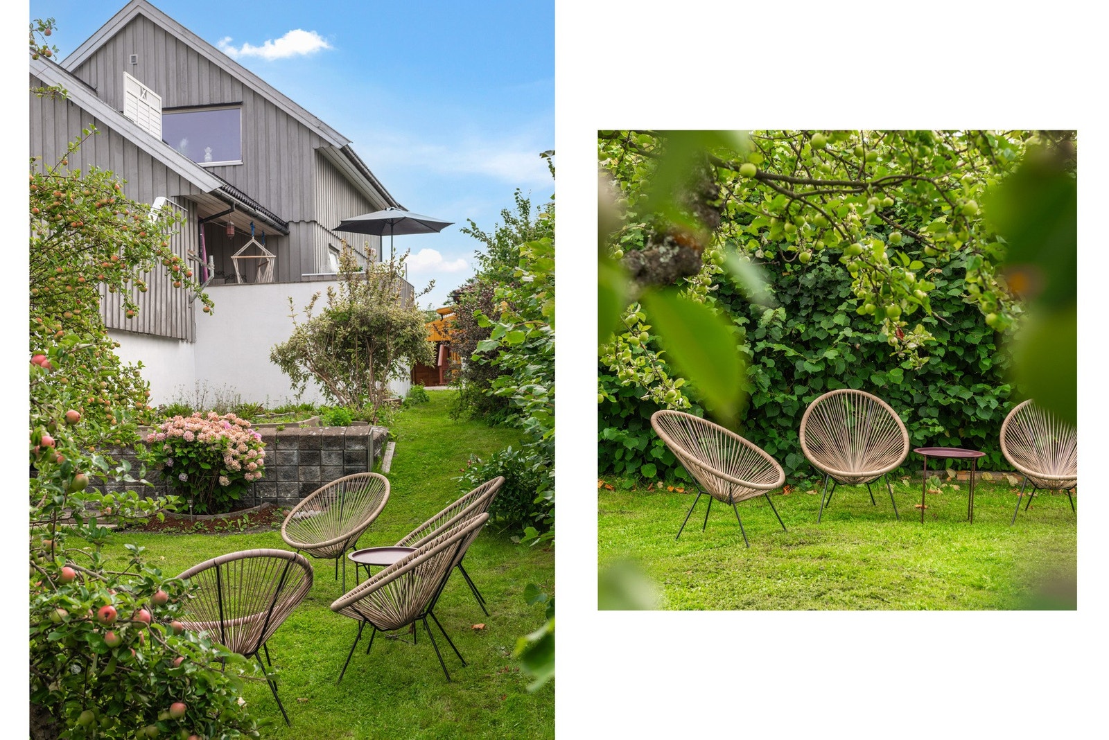 Diverse hage Galleribilde