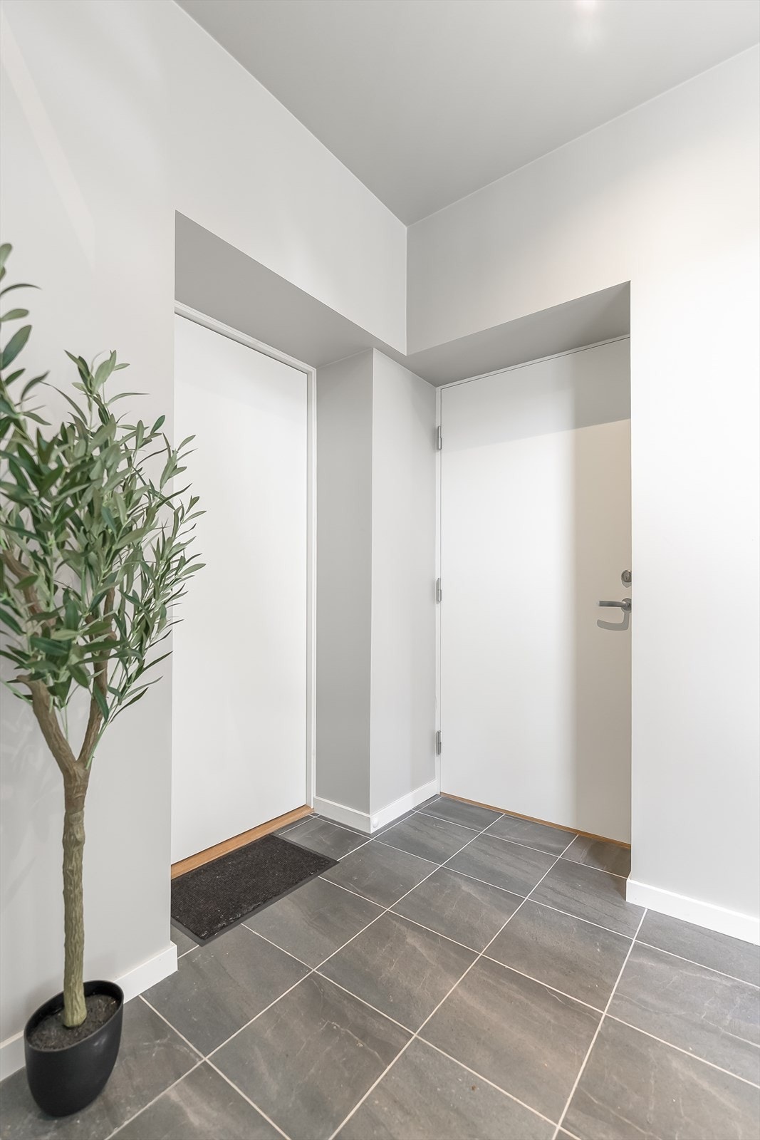 Fellesgang. Galleribilde