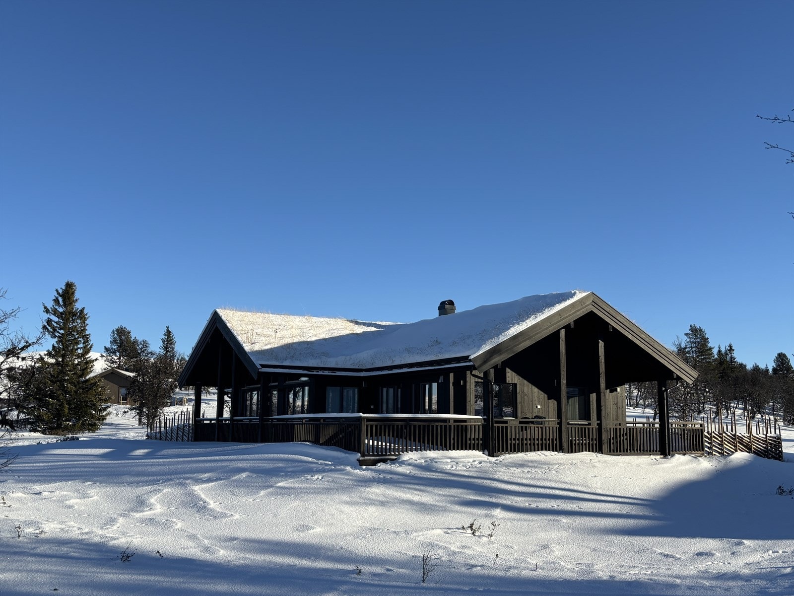 IMG_7251.jpeg Galleribilde