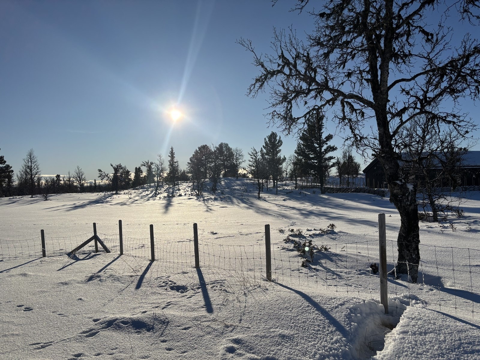 IMG_7269.jpeg Galleribilde