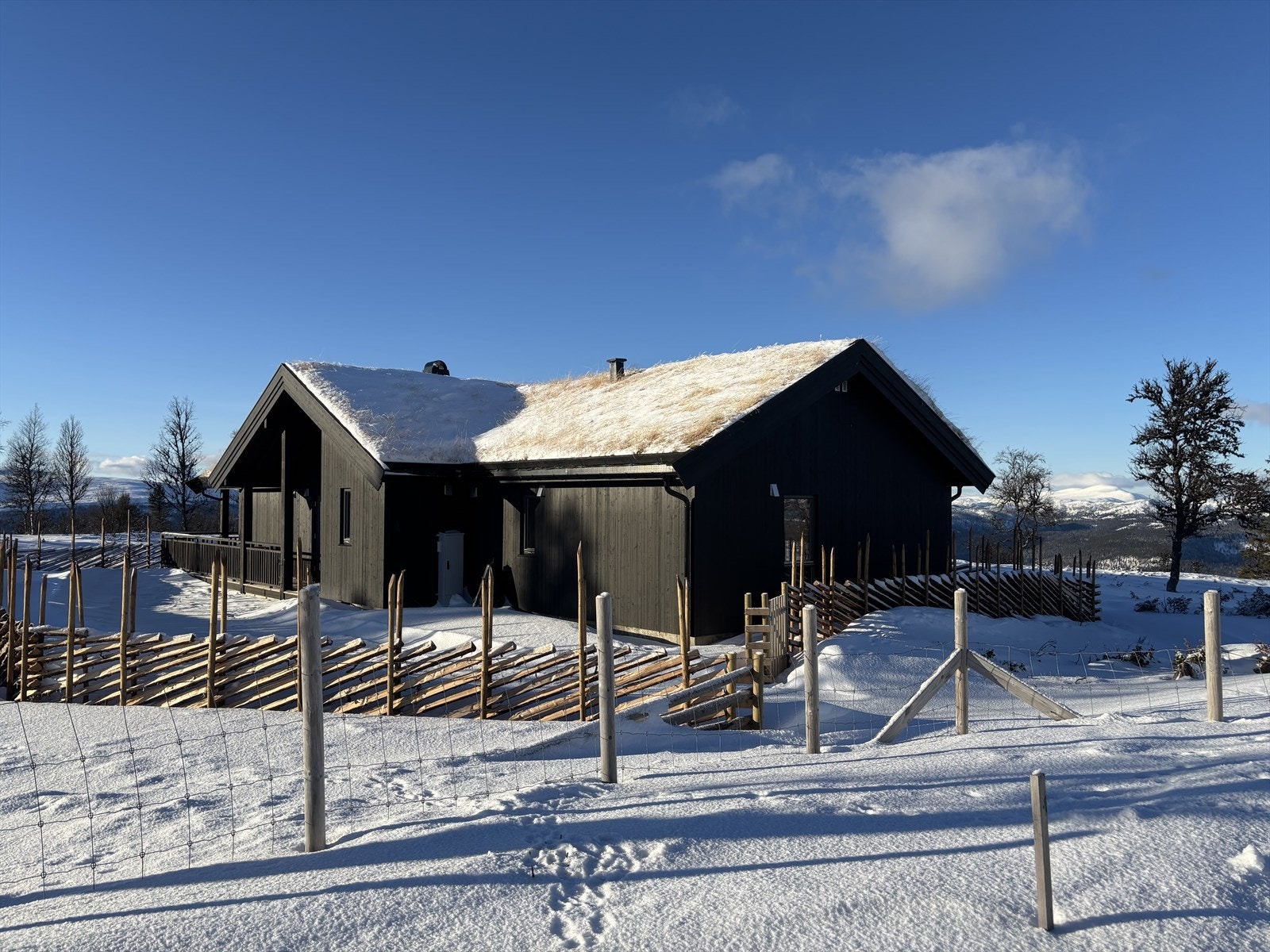 IMG_7267.jpeg Galleribilde