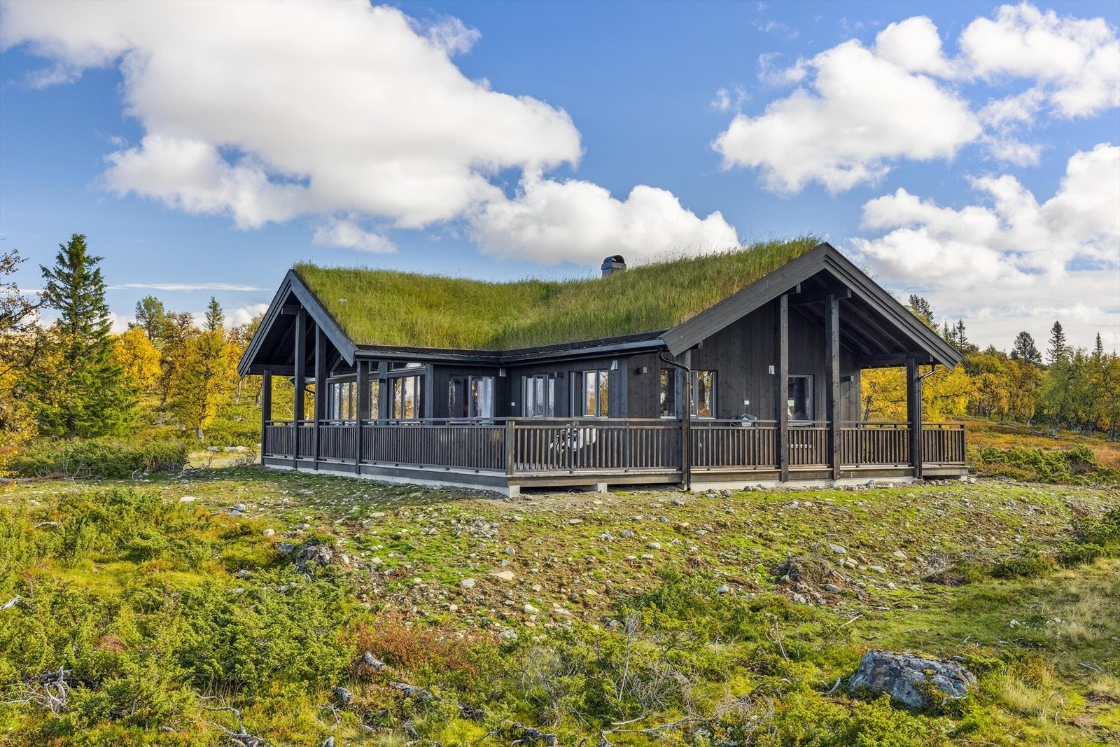 Flott ny hytte oppført i 2022 med torvtak, fin planløsning og god standard med delvis overbygd terrasse som går rundt tre sider av hytta. Galleribilde