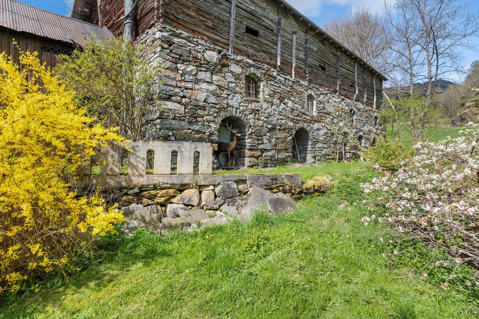 Ser du hjorten på bilde? eigedommen har tilgang på 2 felles jaktvald. Galleribilde