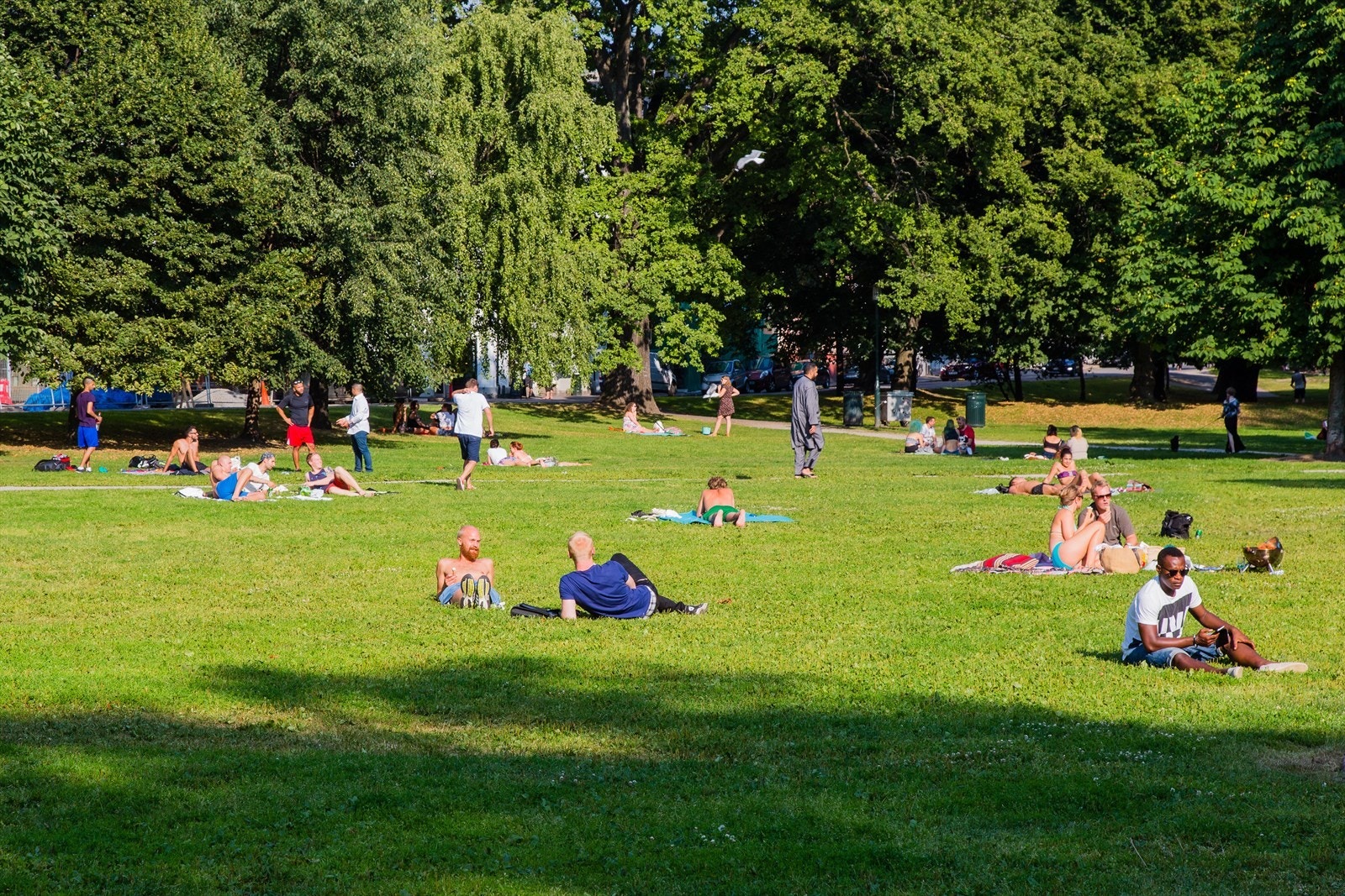 Det finnes også en rekke grønne parker i nærheten, bl.a. Sofienbergparken med store grøntaraler for trening og rekreasjon. Galleribilde