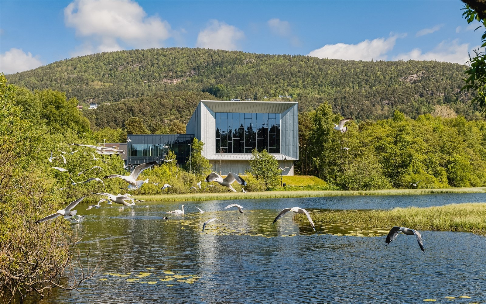 Ortun skole med vakre Ortuvannet er også innen kort avstand. Galleribilde