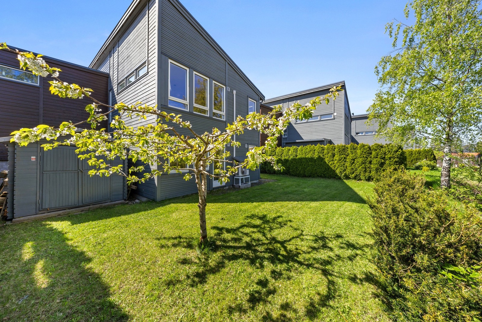 Frodig hage på baksiden av huset. Galleribilde