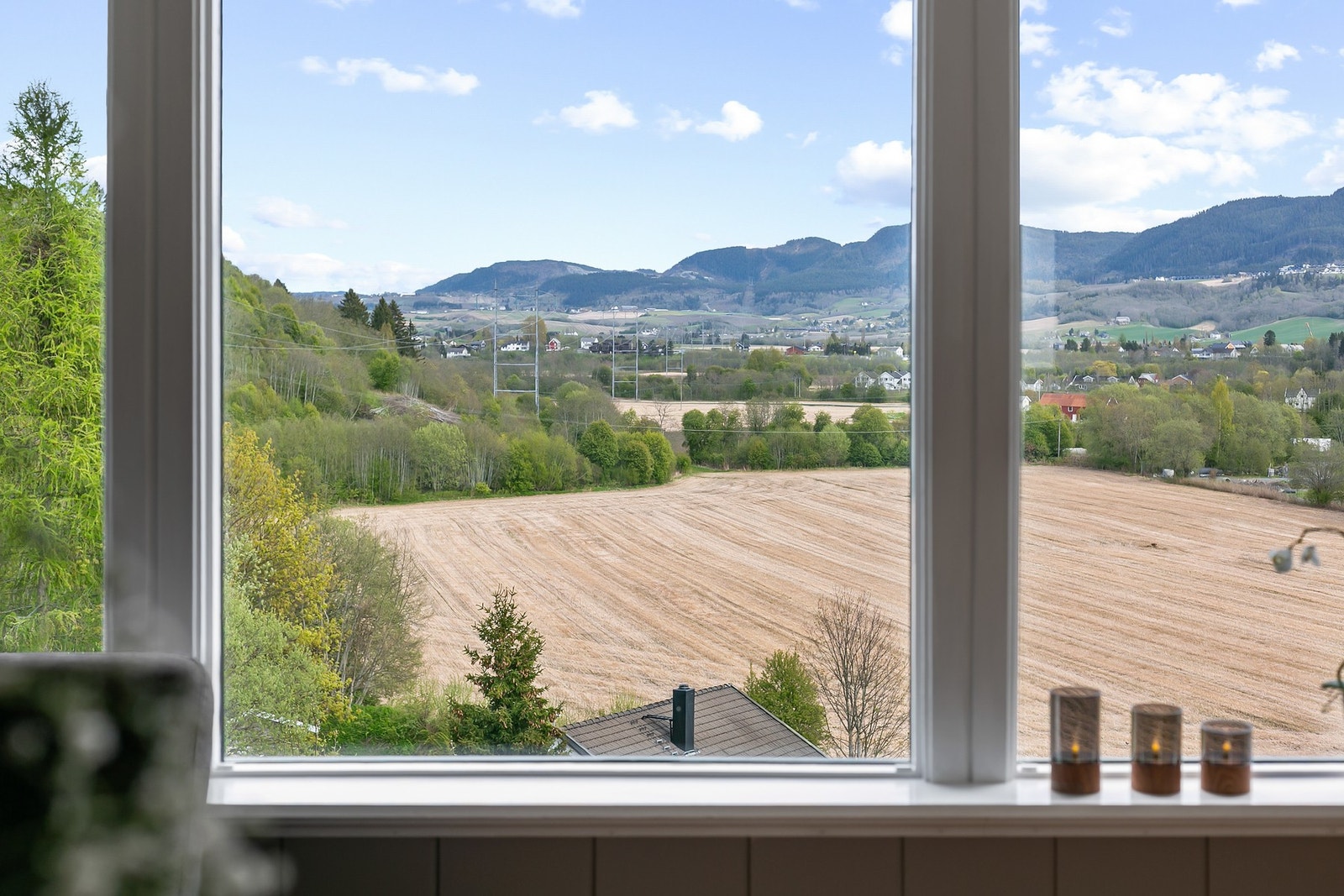 Detalj. Galleribilde