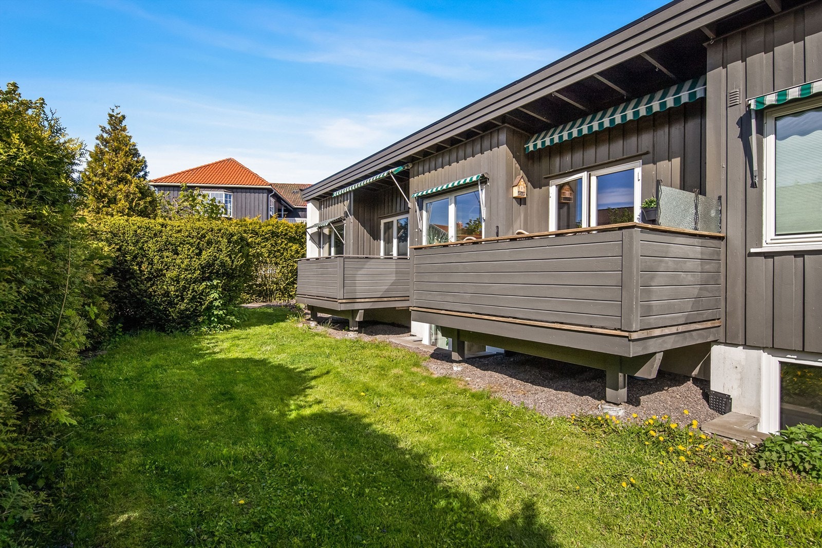 Felles areal er plensatt og med tett hekk Galleribilde