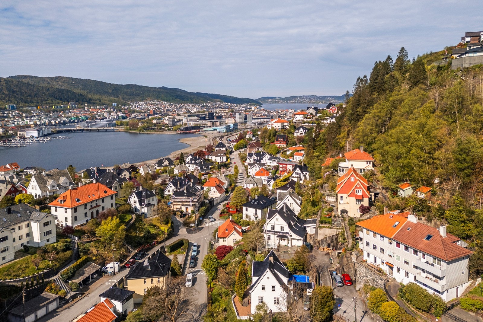 - Velkommen til visning - Galleribilde