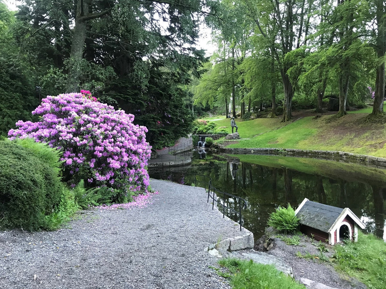 Flotte Ravnedalen med svanedam og tursti Galleribilde