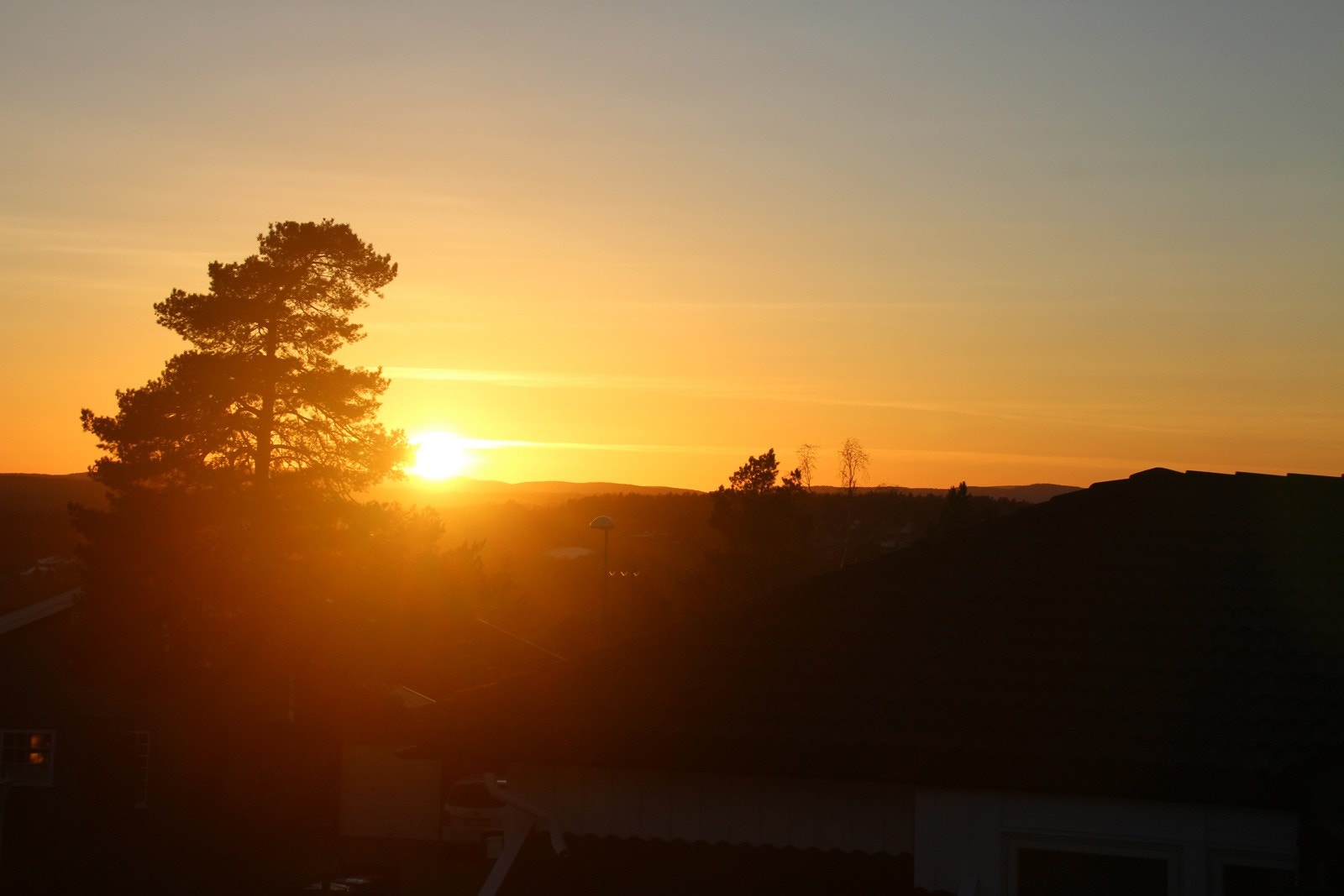 Selgers private bilder. Galleribilde