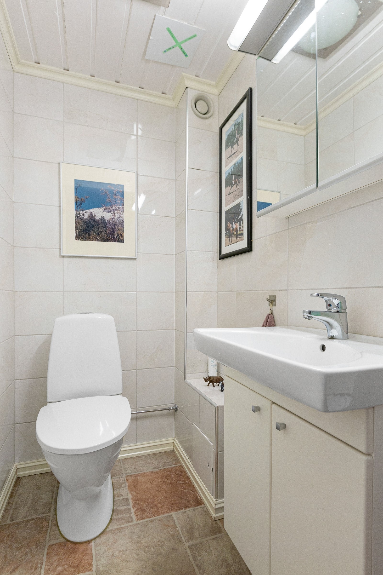 Separat toalett i underetasjen Galleribilde