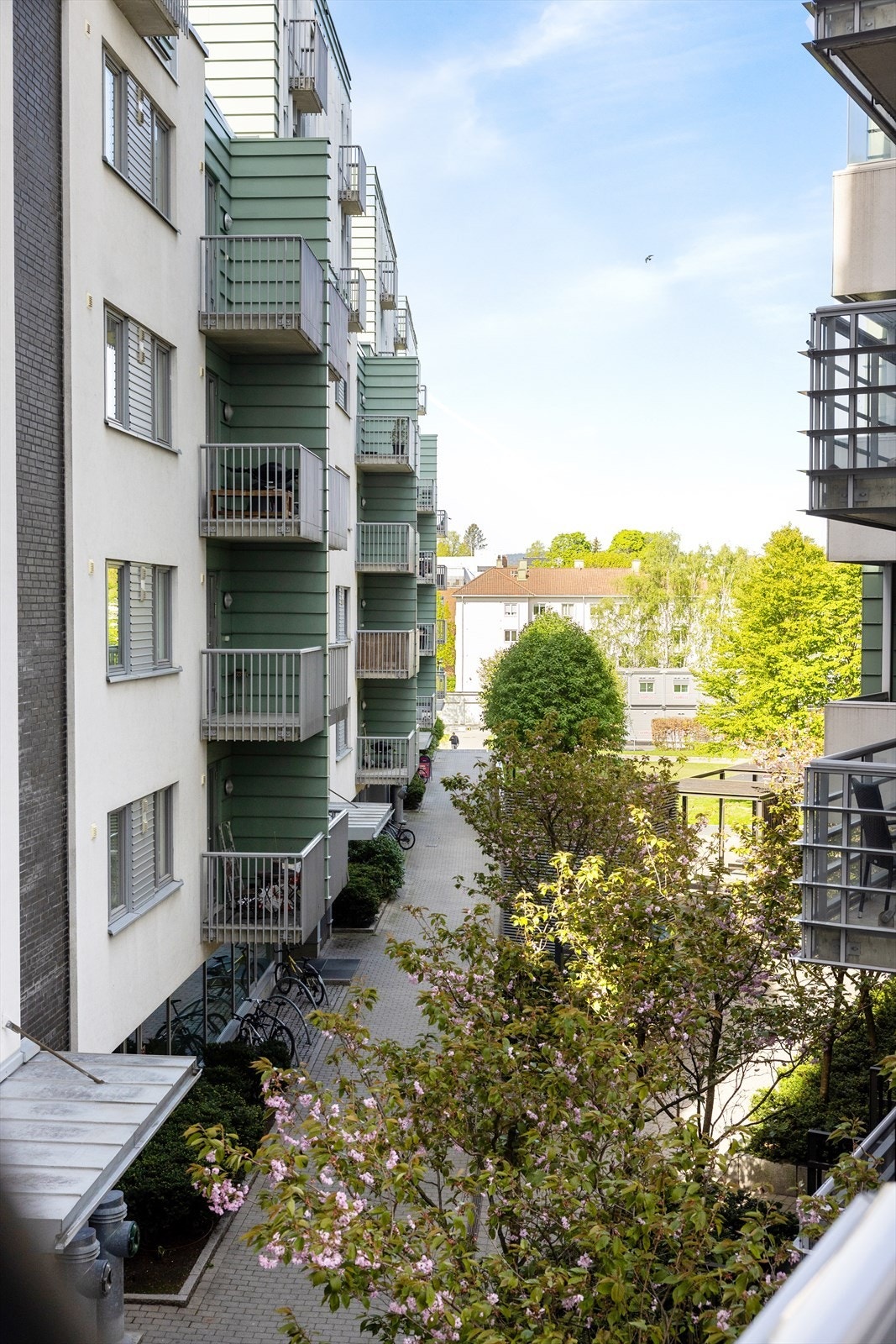 Fra leiligheten er det et frodig utsyn som gjør at man nesten ikke skulle tro at man bodde midt på Majorstuen. Galleribilde