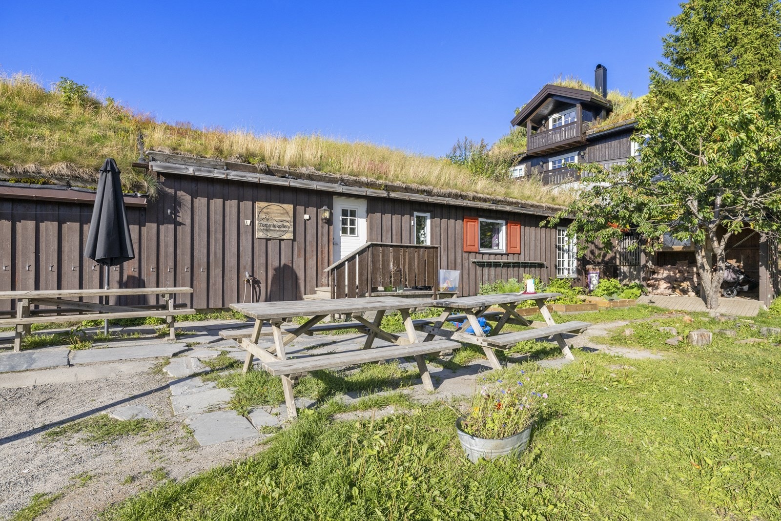 Av barnehager i området finnes Turi Sletners barnehave, Norlandia Voksentoppen ski- og friluftbarnehage og Tomm Murstad-, Skistua- og Voksenkollen friluftbarnehage. Populære Tommlekollen friluftsbarnehage er en av husets nærmeste naboer Galleribilde