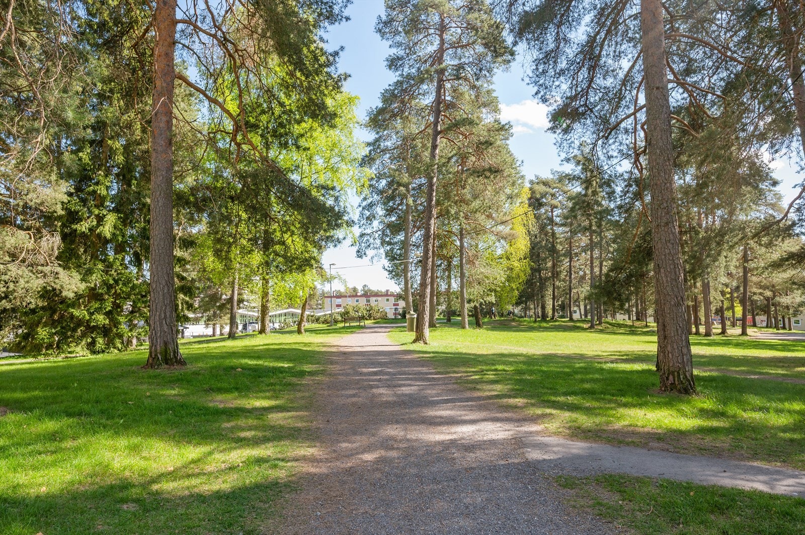 Opplyst turløype i Godliaskogen rett utenfor døren. Galleribilde