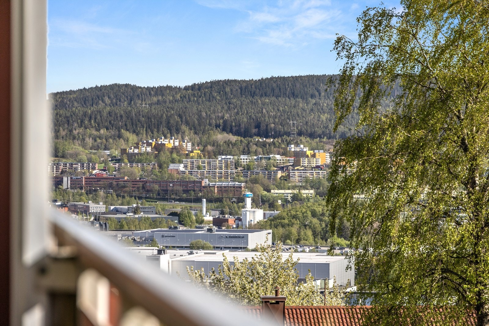 Nydelig utsikt over grønne omgivelser. Galleribilde