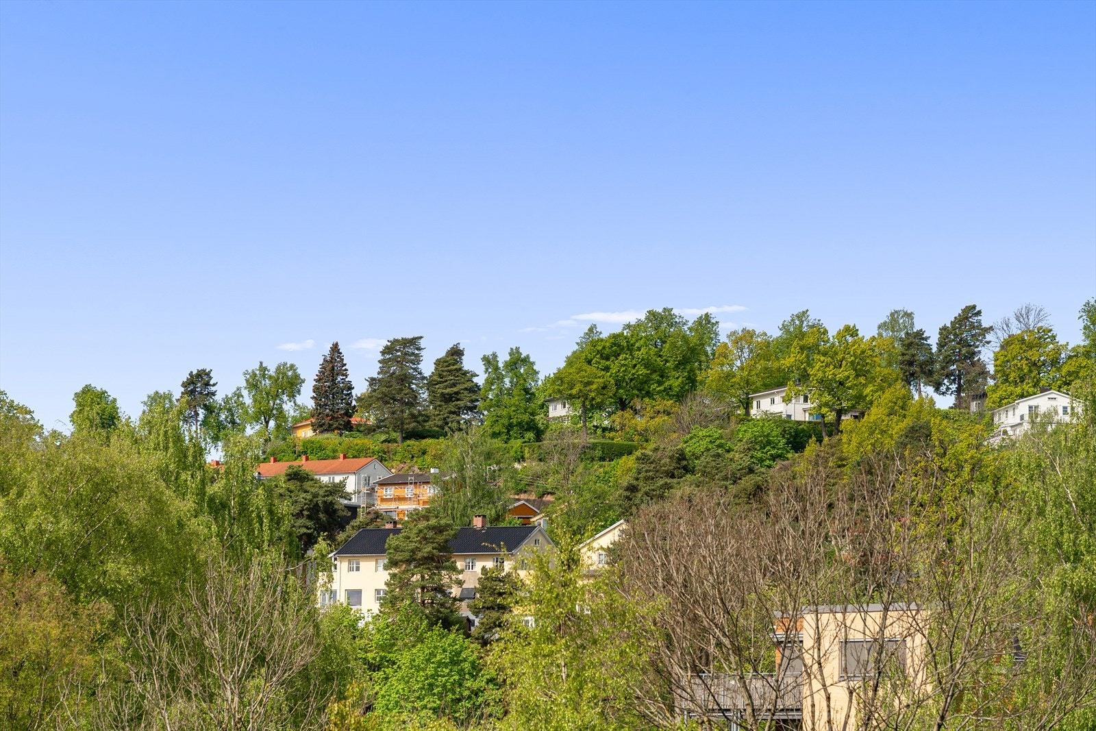 Hyggelig utsyn over det naturskjønne nærområdet. Galleribilde