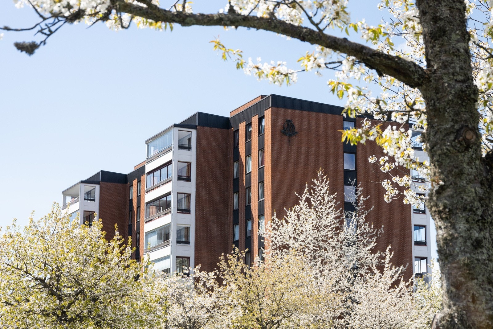 Orebakken Borettslag - Følelsen av å bo i en park. Galleribilde