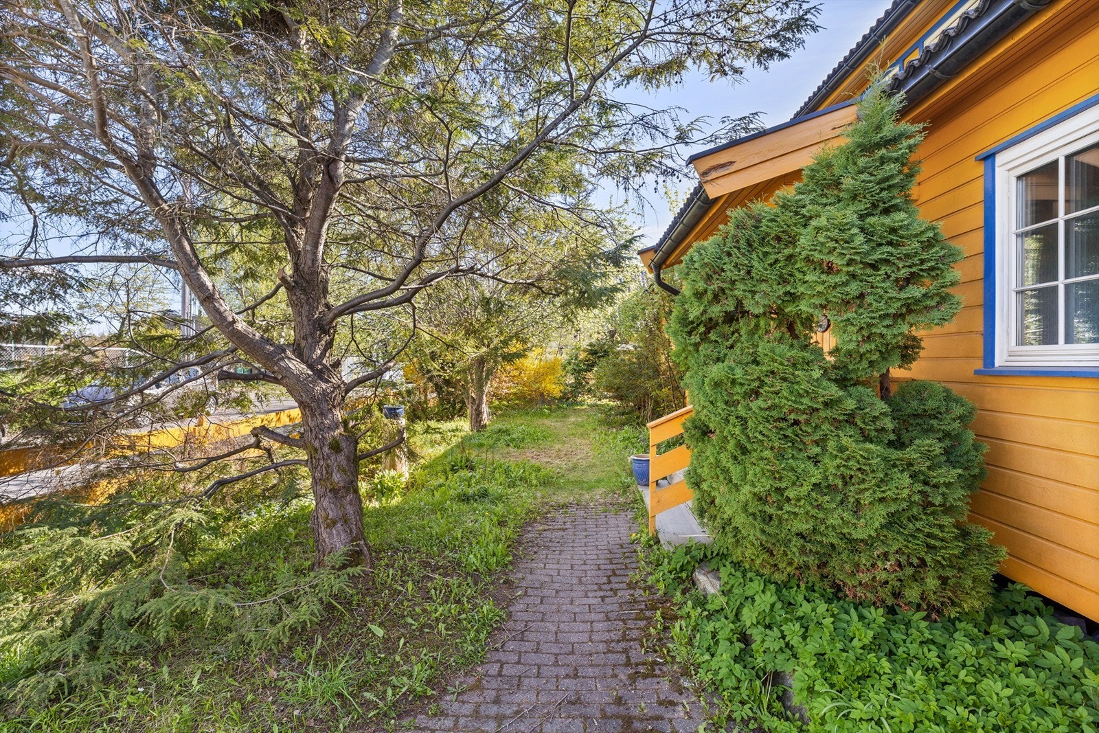 Inngangspartiet. Galleribilde
