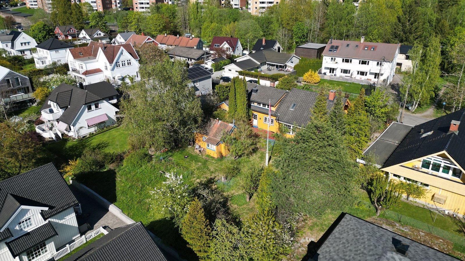 Høydefoto. Galleribilde