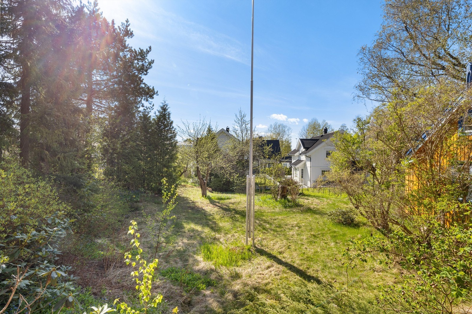 Hage. Galleribilde