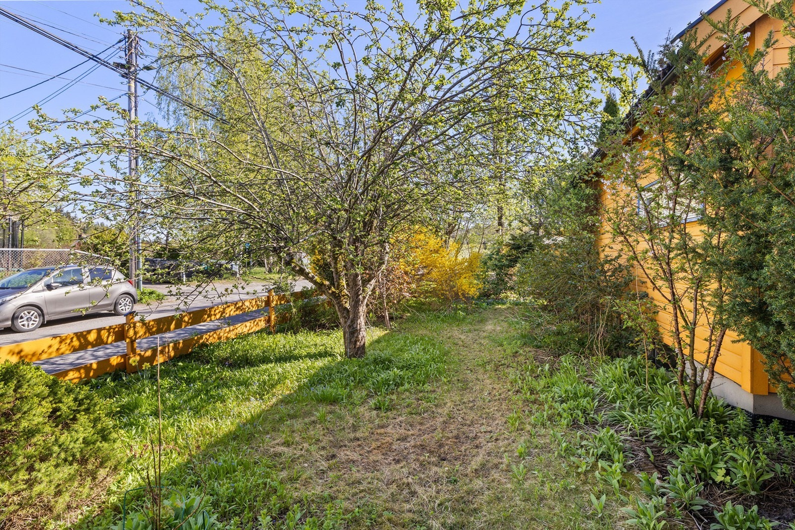 Hage ved inngangspartiet. Galleribilde