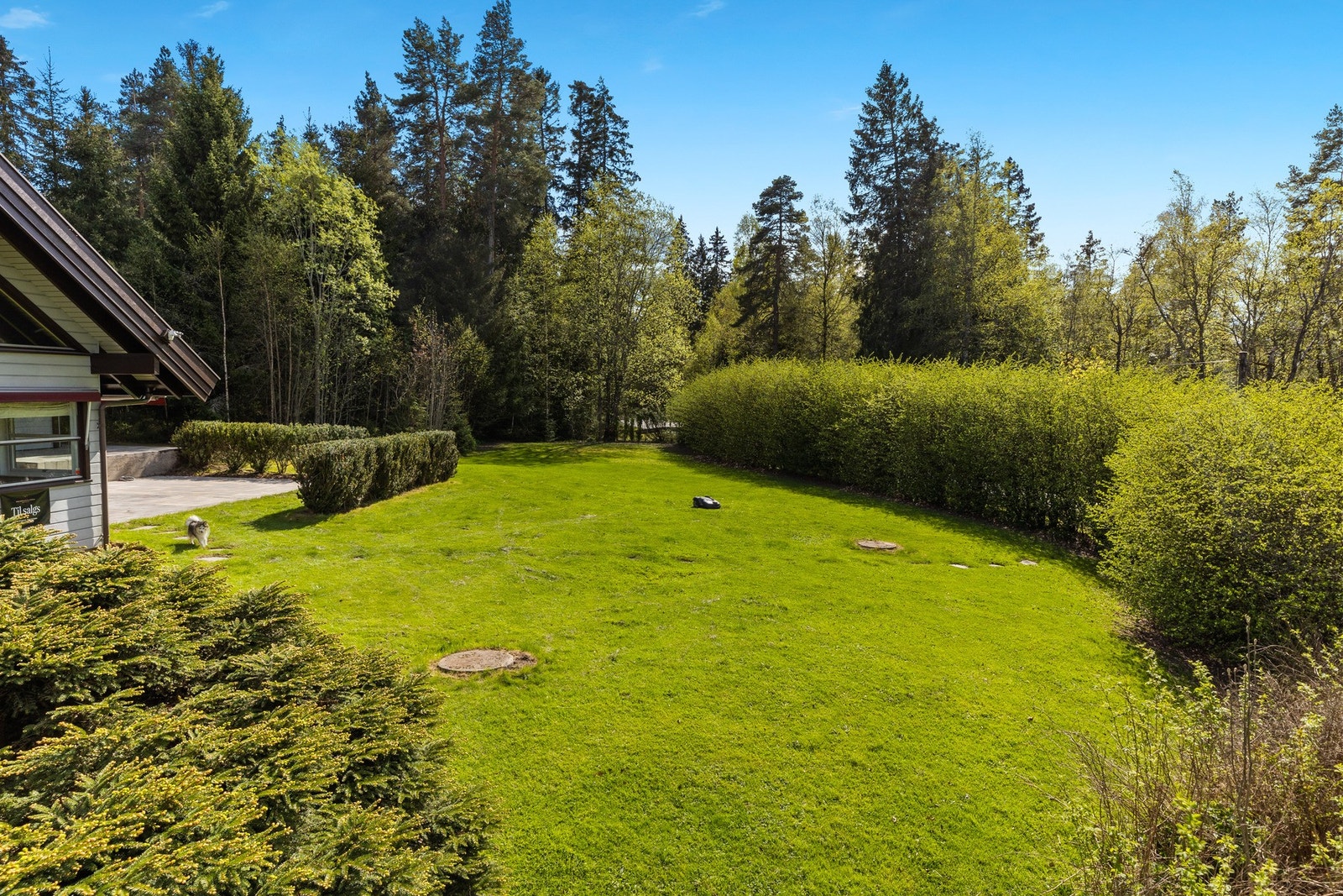 Pent opparbeidet og lettstelt hageanlegg Galleribilde