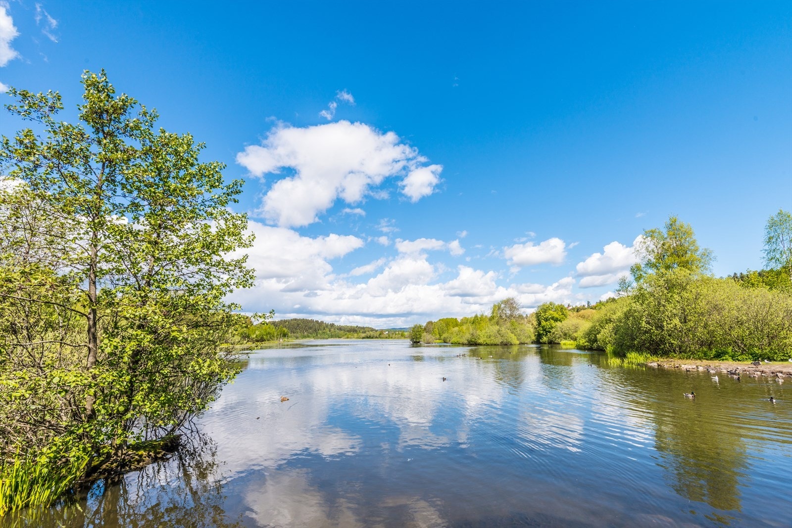 Østensjøvannet er det første man oppdager på vei til Oppsal. Uti Oslomarka er det mange flotte badevann Galleribilde