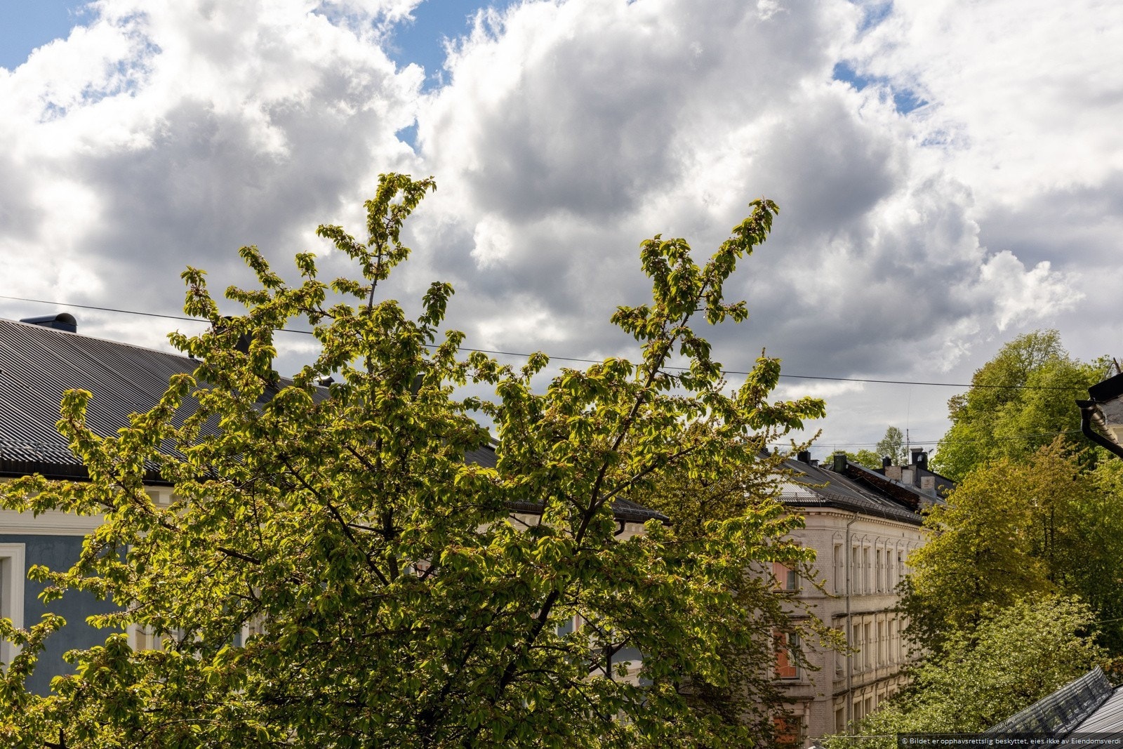 Bo rolig og sentralt Galleribilde