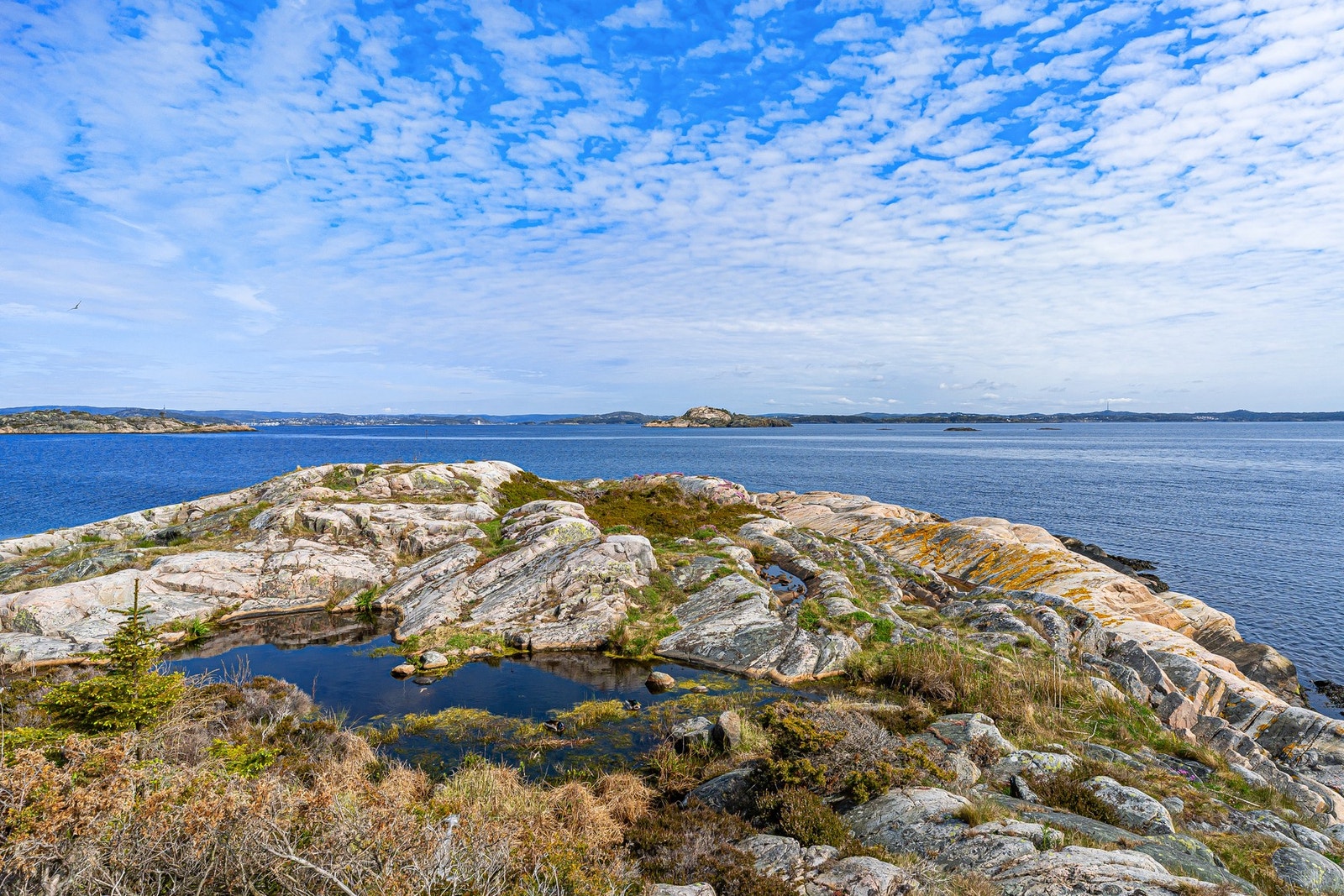 Del av Vasskjæret Galleribilde