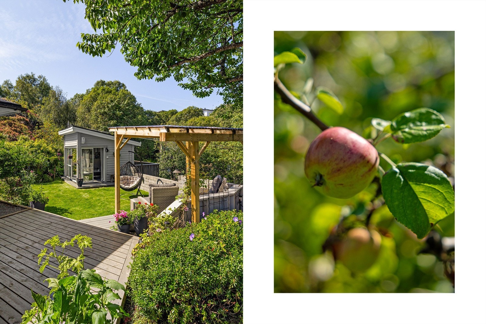 En herlig pergola og fullisolert vinter/sommerstue Galleribilde