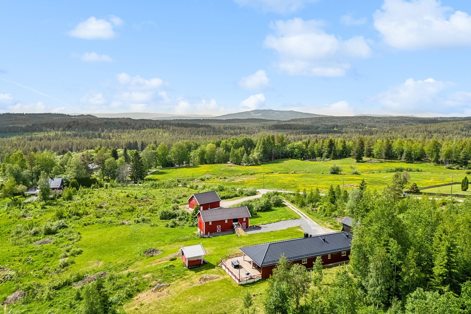Husk å melde deg på visning! Galleribilde