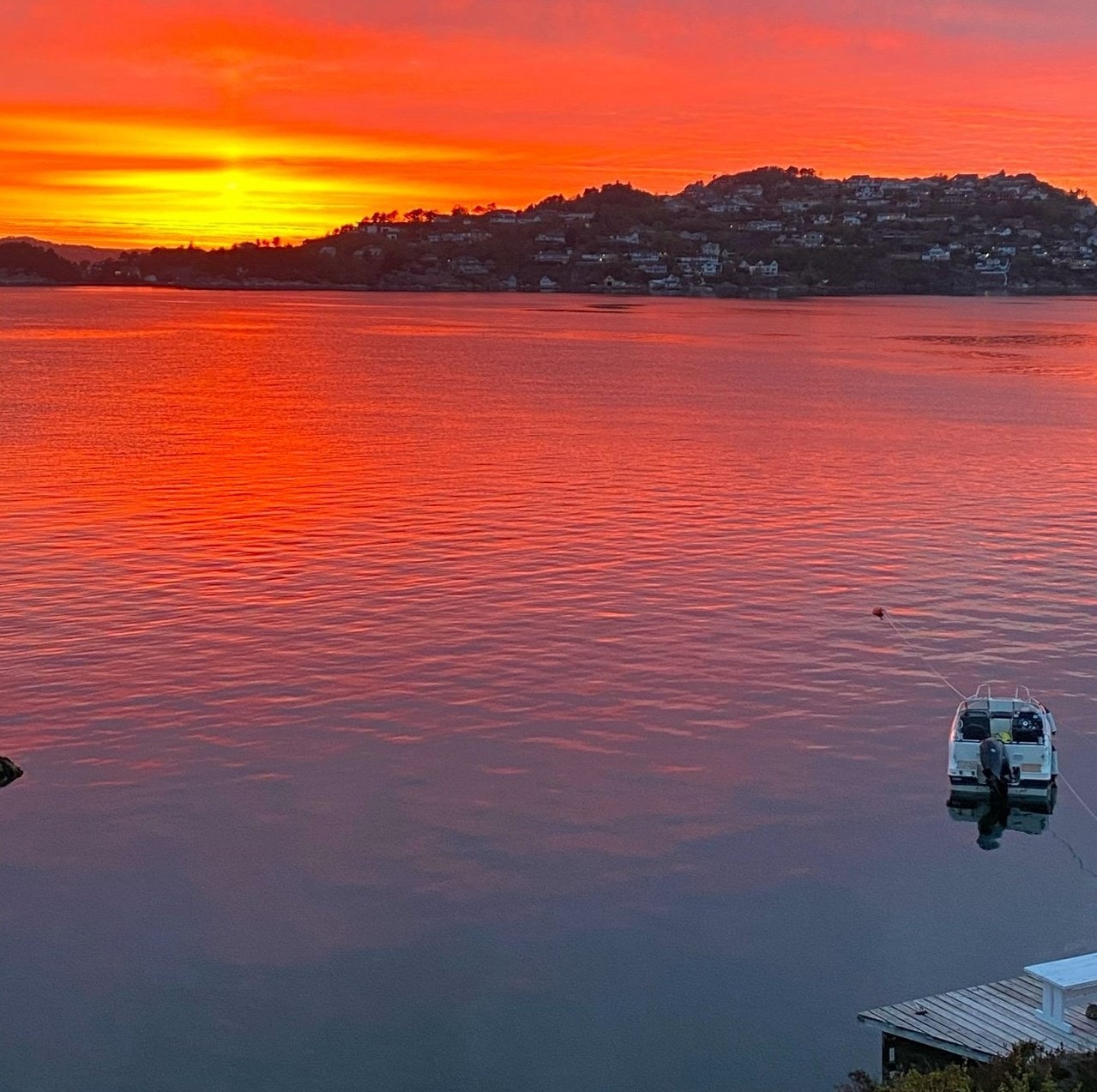 En sjelden perle av en sjøtomt med optimale solforhold. Det medfølger egen brygge med båtplass! Galleribilde