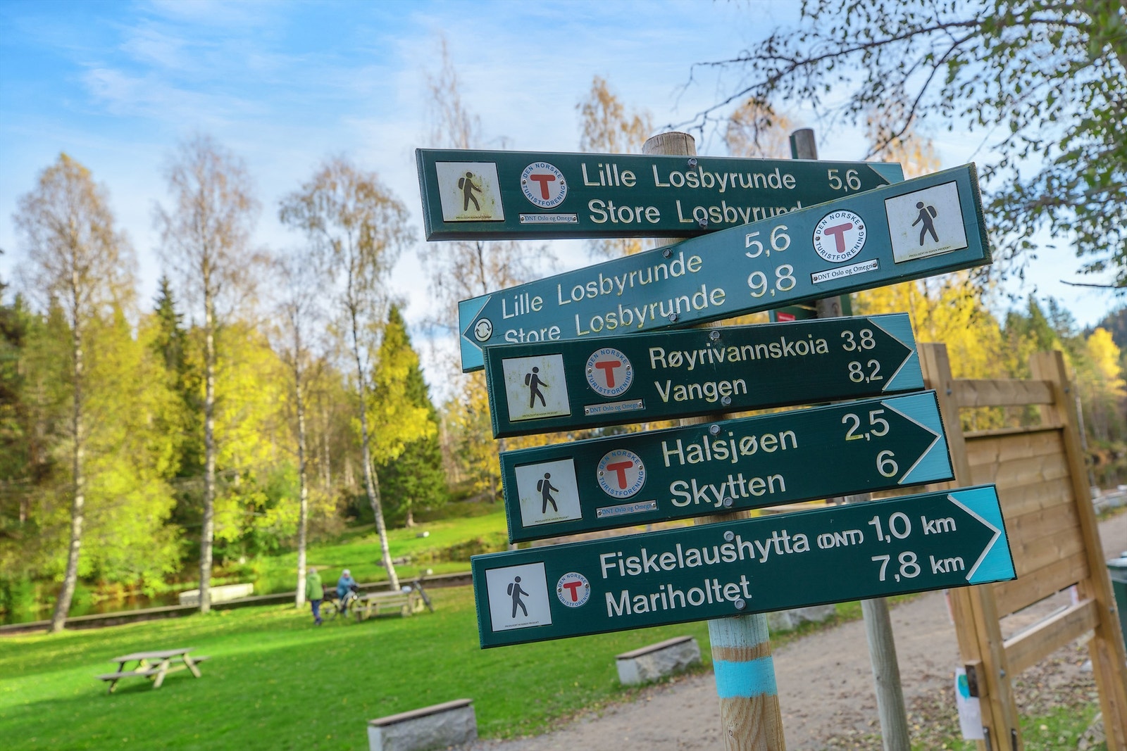 Utallige turmuligheter i Østmarka rett utenfor stuedøren Galleribilde