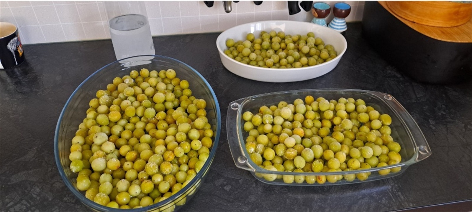 Stikkelsbær fra egen hage. Selgers eget bilde Galleribilde