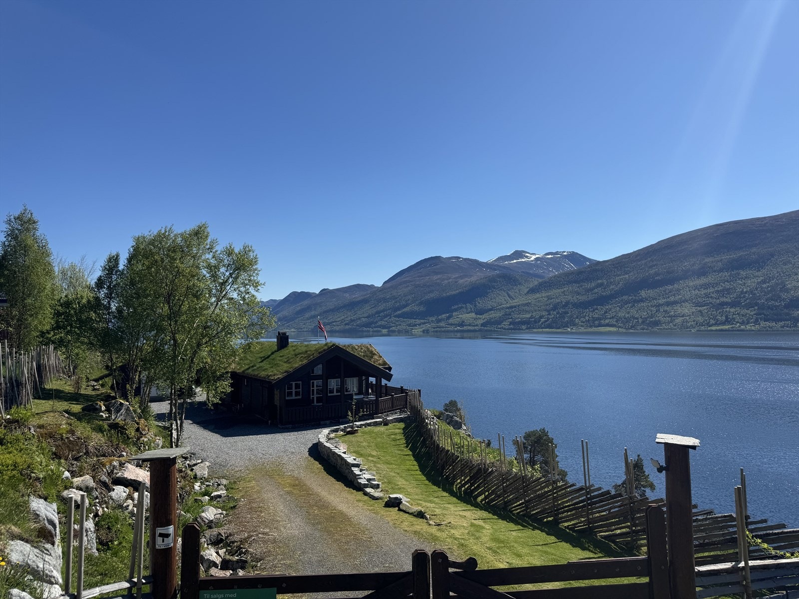 Selgers private bilder Galleribilde