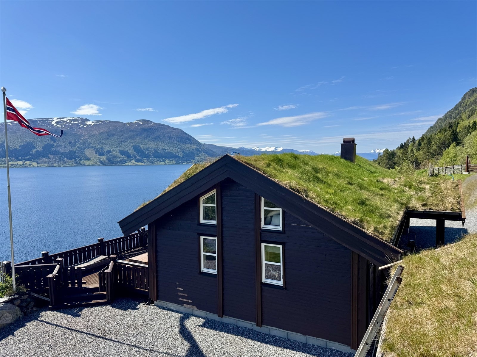 Selgers private bilder Galleribilde