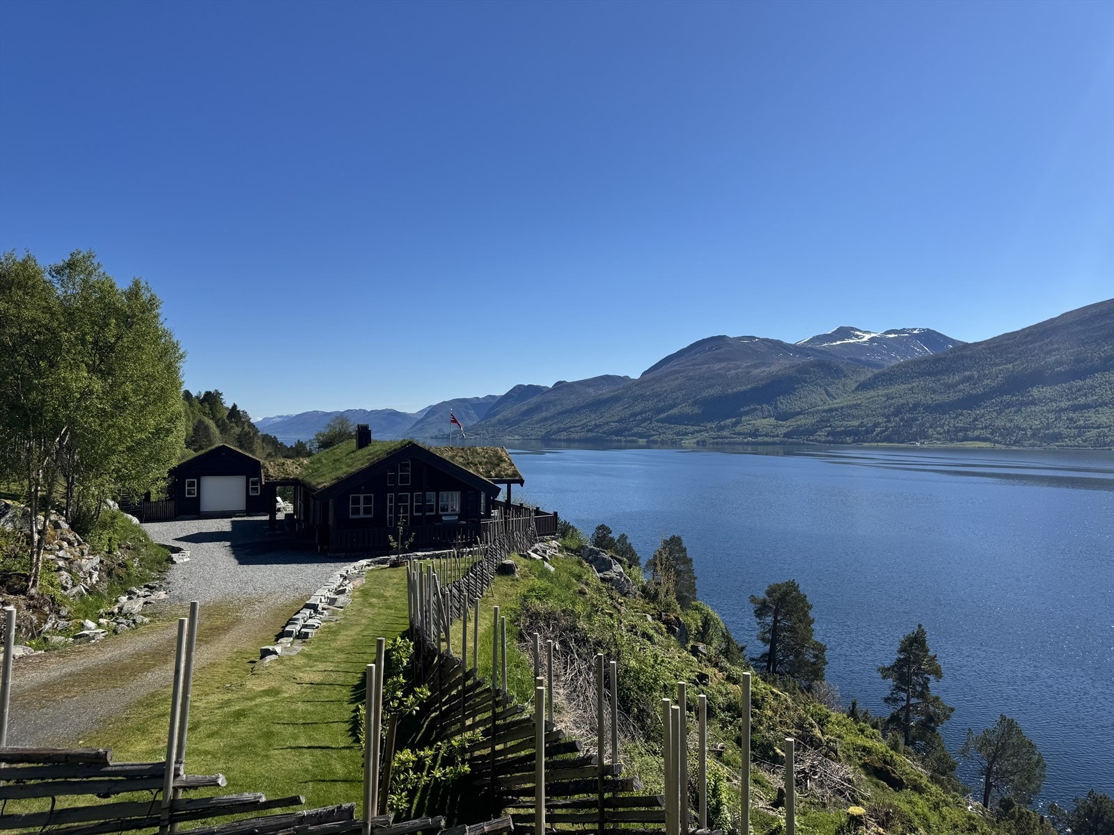 Selgers private bilder Galleribilde